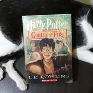 HP and the Goblet of Fire Book Review thecatwithabook
